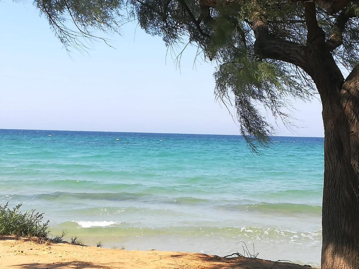 Tra Vento E Mare